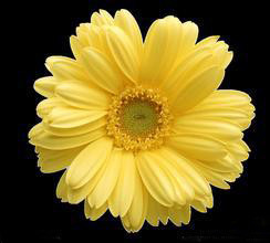 图解,LOL,修改,英雄,对比最新图片