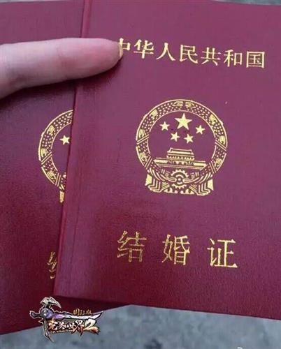 完美国际2最新图片