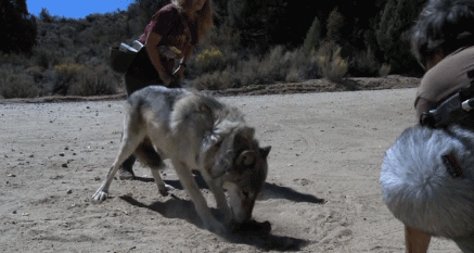 ħ,Ӱ,WOW,Ӱ,,ѩ,ͼƬ