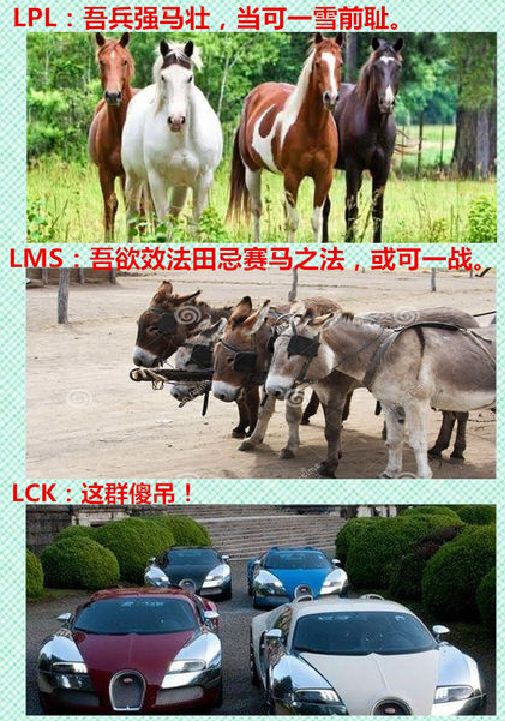 zhou.jpg